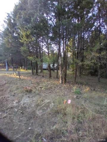 0 Brisko Ct, Bonne Terre, MO 63628