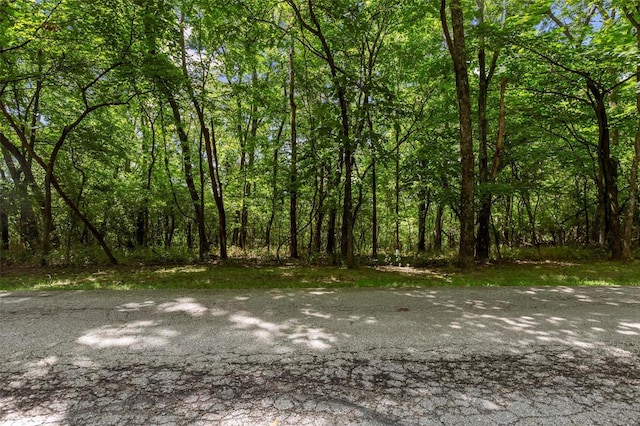 18520 Hawks Hill Rd, Wildwood, MO 63069 - photo 2