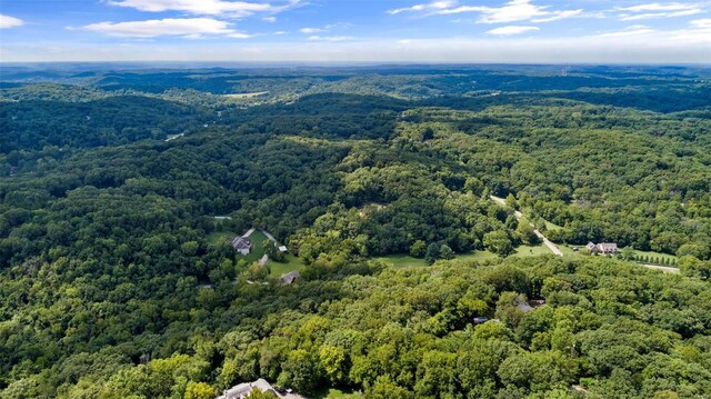 18520 Hawks Hill Rd, Wildwood, MO 63069 - photo 6
