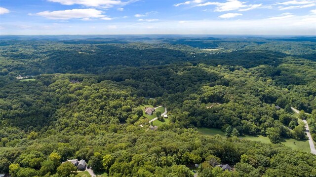18520 Hawks Hill Rd, Wildwood, MO 63069 - photo 8