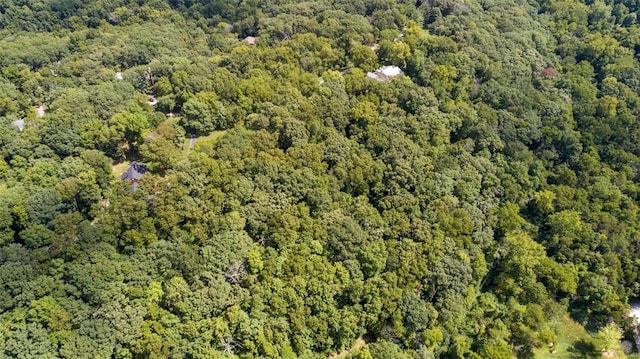 18520 Hawks Hill Rd, Wildwood, MO 63069 - photo 11