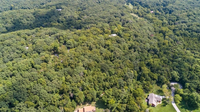 18520 Hawks Hill Rd, Wildwood, MO 63069 - photo 12