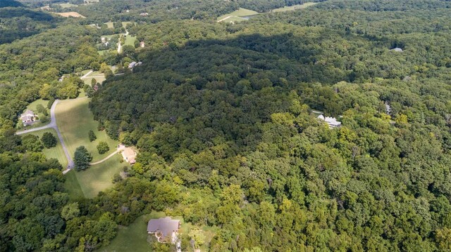18520 Hawks Hill Rd, Wildwood, MO 63069 - photo 14