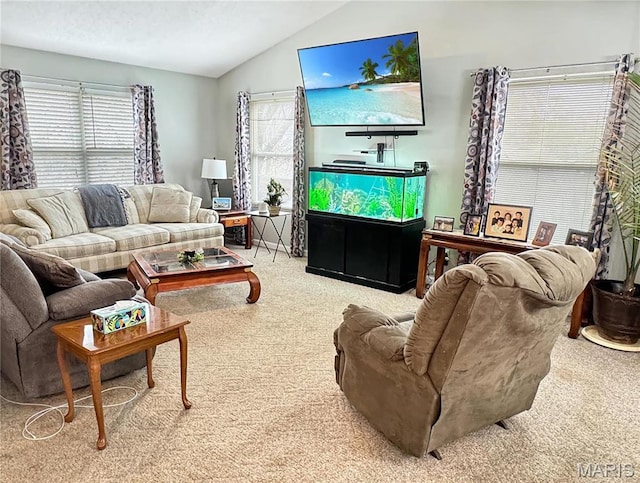 21 Forest Ln, Union, MO 63084 - carpeted living room featuring vaulted ceiling