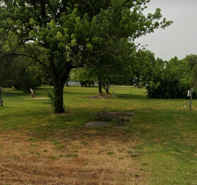 view of green lawn