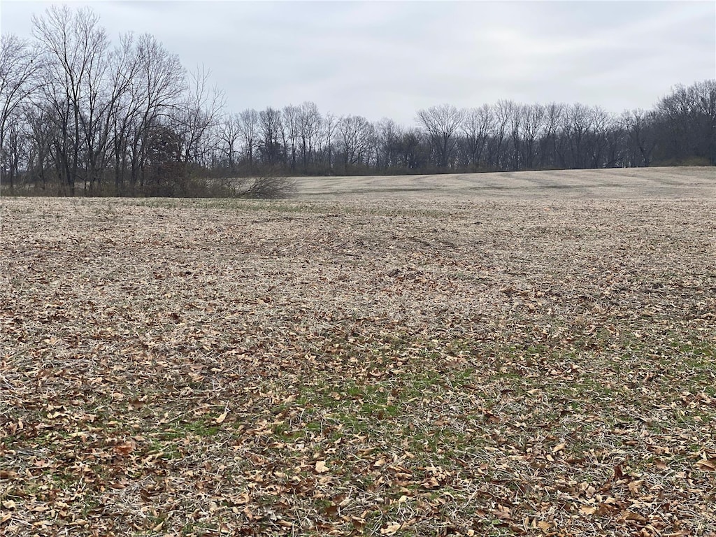30 Elm Tree Rd, Moscow Mills, MO 63362