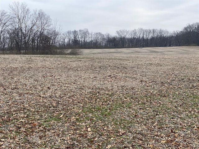 30 Elm Tree Rd, Moscow Mills, MO 63362