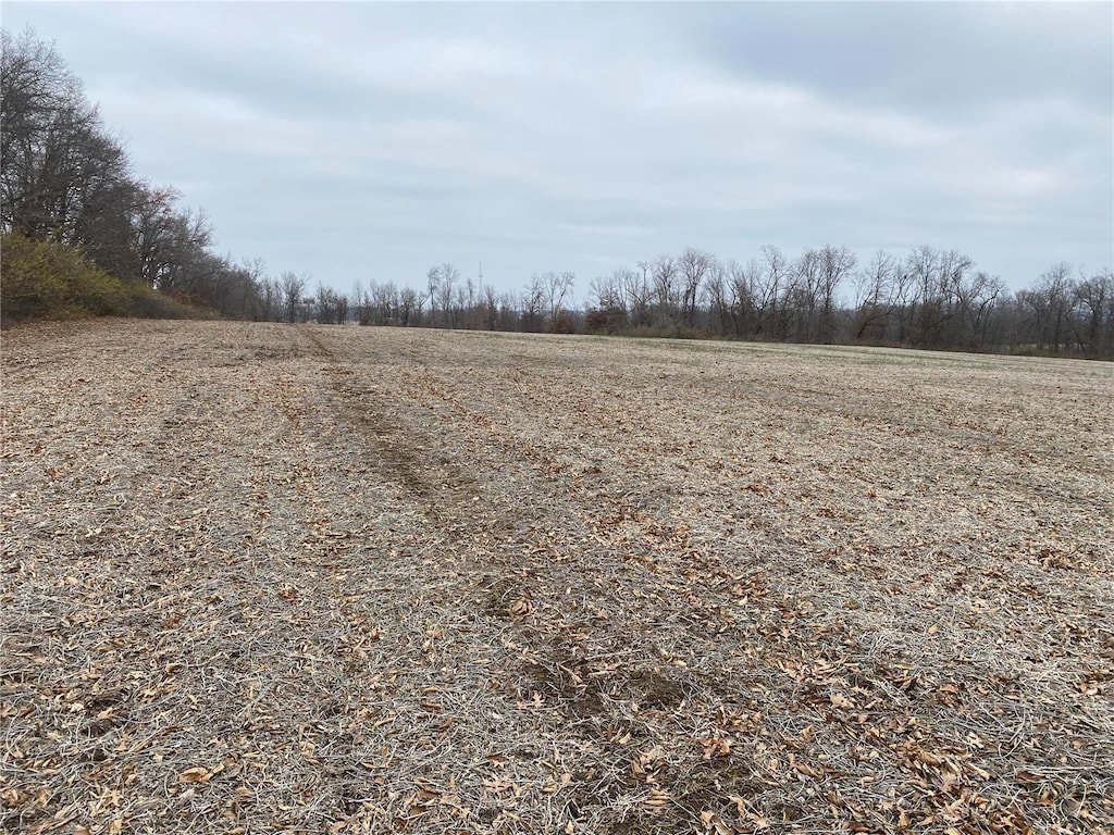 30 Elm Tree Rd, Moscow Mills, MO 63362