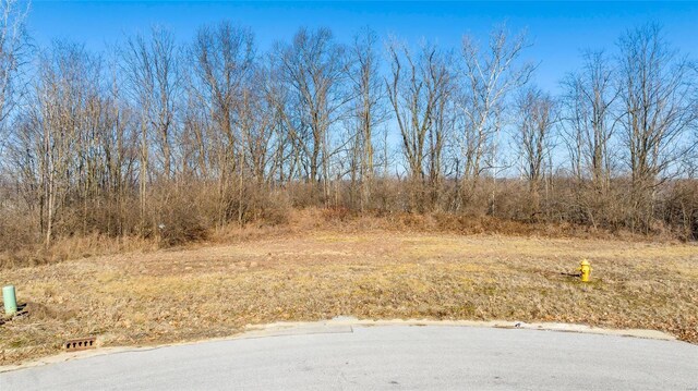 8038 Tahoe Rdg, Caseyville, IL 62232 - photo 3