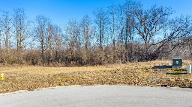 8038 Tahoe Rdg, Caseyville, IL 62232 - photo 4