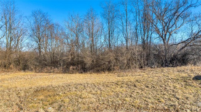 8038 Tahoe Rdg, Caseyville, IL 62232 - photo 5