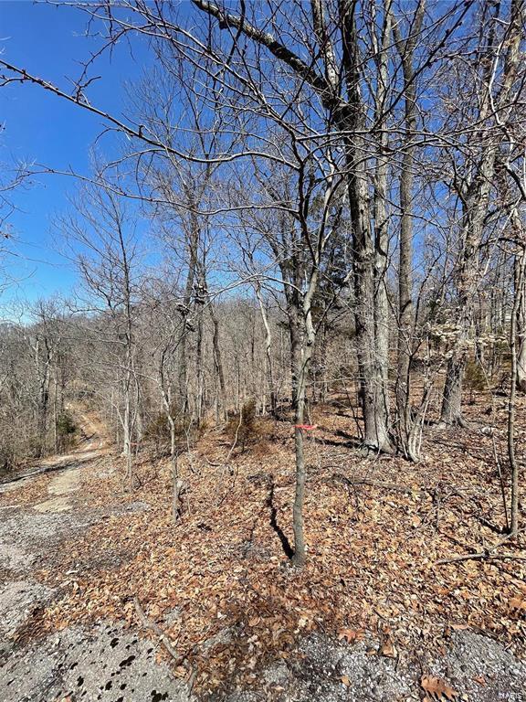 6463 Franks Rd, Byrnes Mill, MO 63051