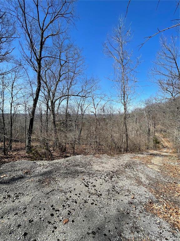 6463 Franks Rd, Byrnes Mill, MO 63051