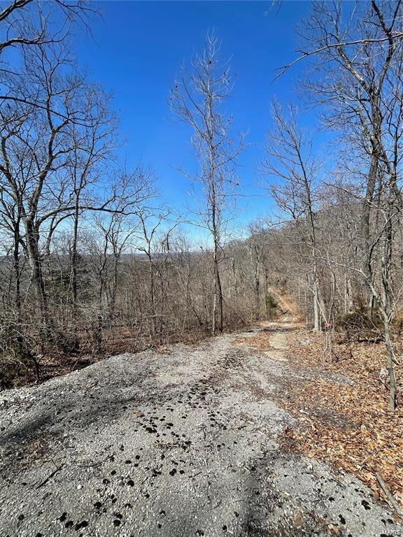 6463 Franks Rd, Byrnes Mill, MO 63051