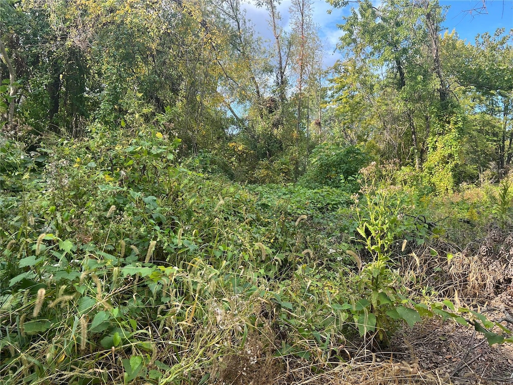 0 Divers St, Columbia, IL 62236
