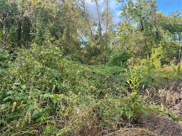 0 Divers St, Columbia, IL 62236