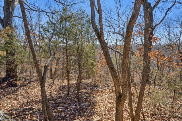 0 Wooded Acres Pt, Barnhart, MO 63012