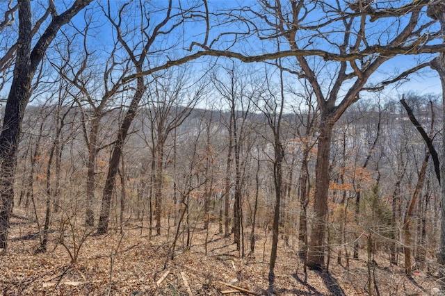 0 Wooded Acres Pt, Barnhart, MO 63012