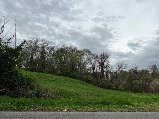 0 N Frederick St, Cape Girardeau, MO 63701 - photo 3