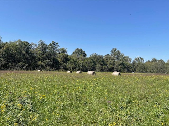 2268 Madison 244, Fredericktown, MO 63645 - view of local wilderness featuring rural landscape