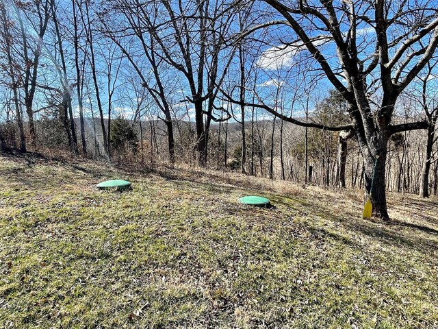 2268 Madison 244, Fredericktown, MO 63645 - view of yard