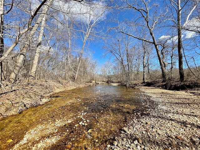 2268 Madison 244, Fredericktown, MO 63645 - view of road