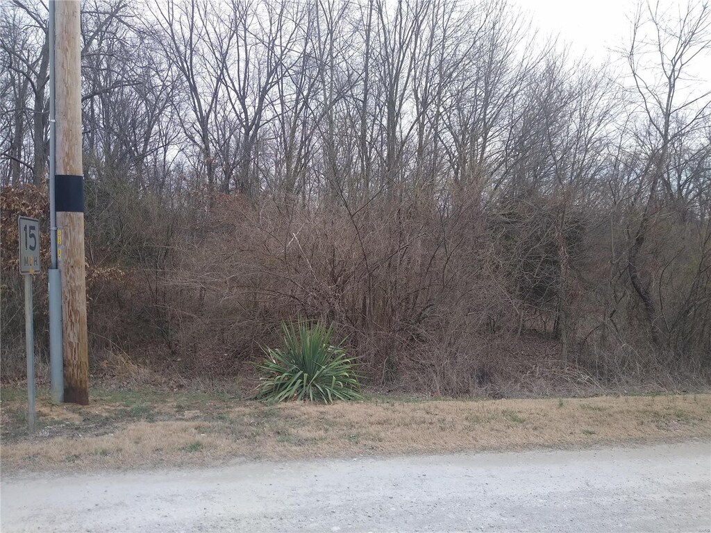 0 Flamingo Rd, Sparta, IL 62286 - photo 1