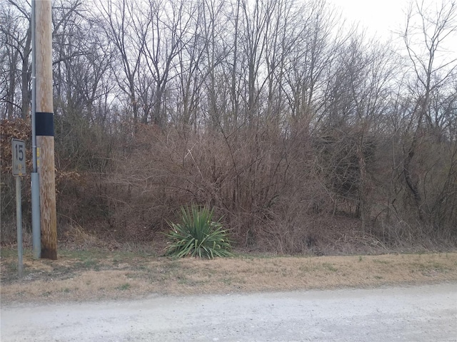 0 Flamingo Rd, Sparta, IL 62286 - photo 1