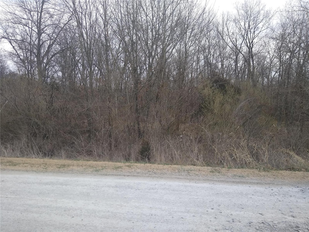 0 Flamingo Rd, Sparta, IL 62286 - photo 3