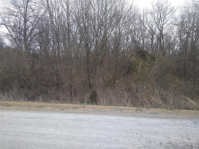 0 Flamingo Rd, Sparta, IL 62286 - photo 3