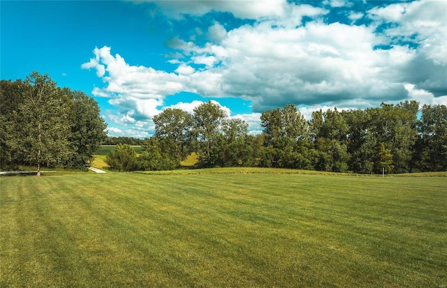272 NE 1350th Ave, Greenfield, IL 62044 - view of grassy yard