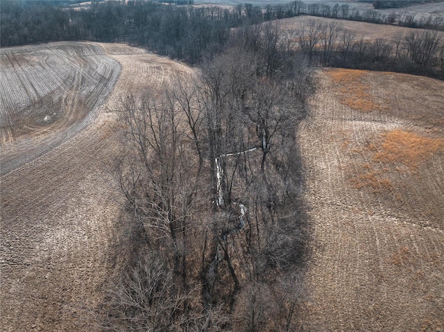272 NE 1350th Ave, Greenfield, IL 62044 - aerial view of sparsely populated area