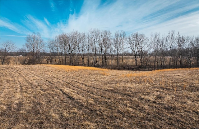 272 NE 1350th Ave, Greenfield, IL 62044 - view of nature with rural landscape