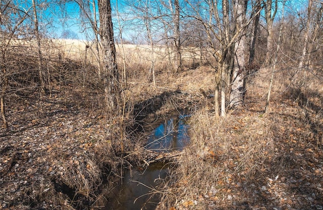 272 NE 1350th Ave, Greenfield, IL 62044 - view of nature