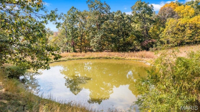 water view with a forest
