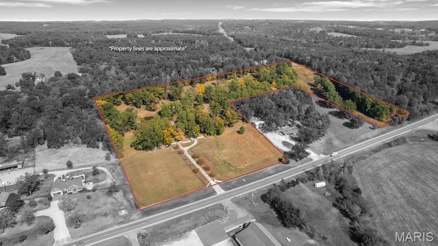 view of property location with a forest and property parcel outlined