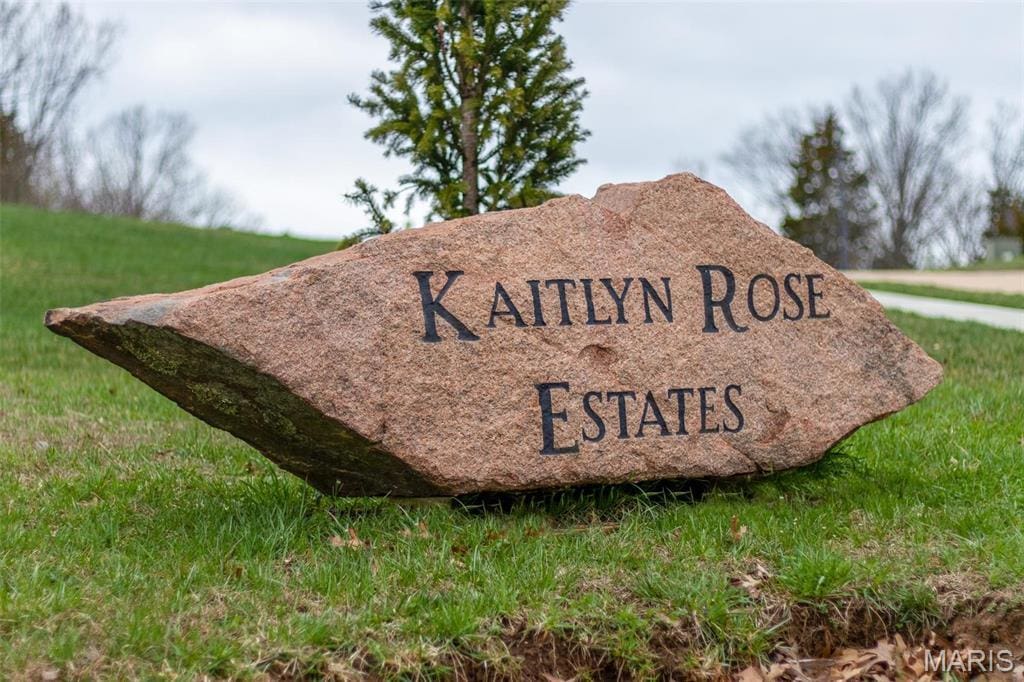 4640 Dylan Dr, De Soto, MO 63020 - photo 1