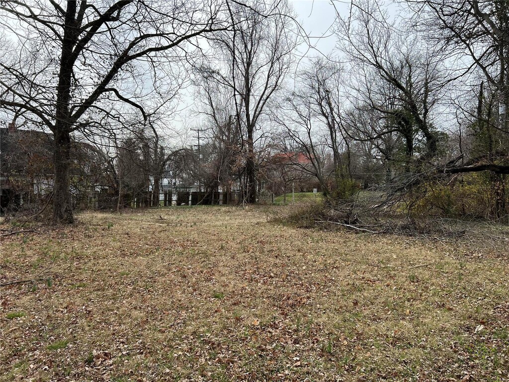 421 Marie St, Cape Girardeau, MO 63701 - photo 1