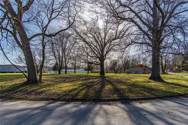 620 E Schuetz St, Lebanon, IL 62254 - photo 9