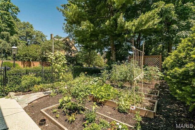 410 N Newstead Ave Unit 6W, Saint Louis, MO 63108 - view of yard with a vegetable garden and fence
