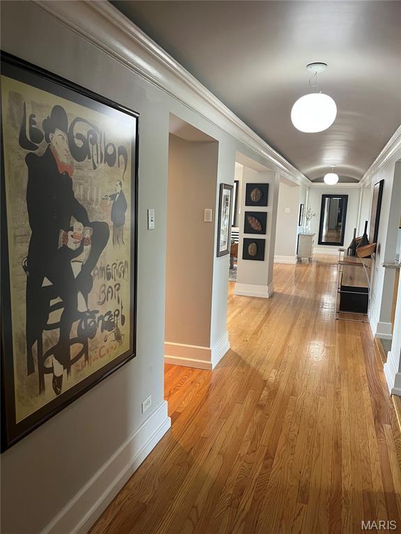 410 N Newstead Ave Unit 6W, Saint Louis, MO 63108 - hallway with light wood finished floors, crown molding, and baseboards