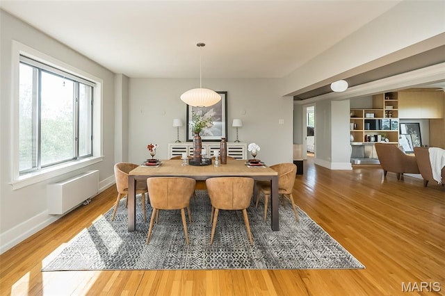 410 N Newstead Ave Unit 6W, Saint Louis, MO 63108 - dining room featuring radiator heating unit, light wood-type flooring, and baseboards