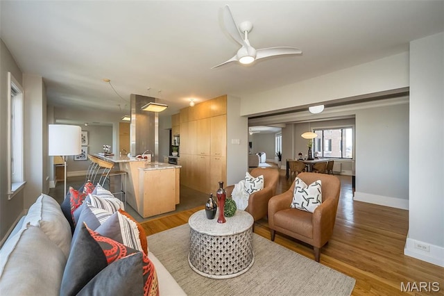 410 N Newstead Ave Unit 6W, Saint Louis, MO 63108 - living room with baseboards, ceiling fan, and light wood-type flooring
