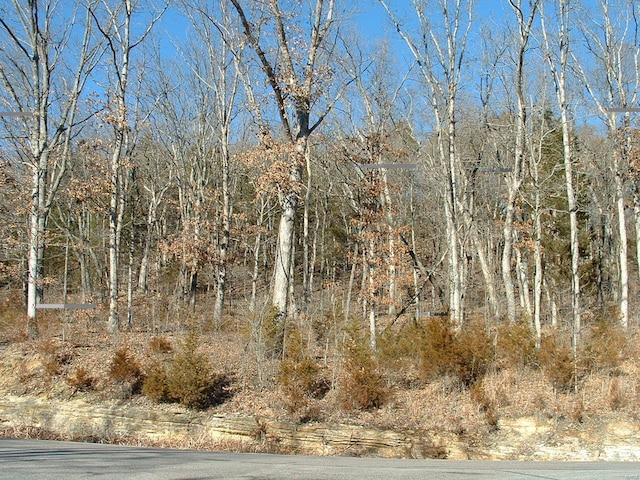 4501 Augusta Shores Ct Lot # 22, Augusta, MO 63332