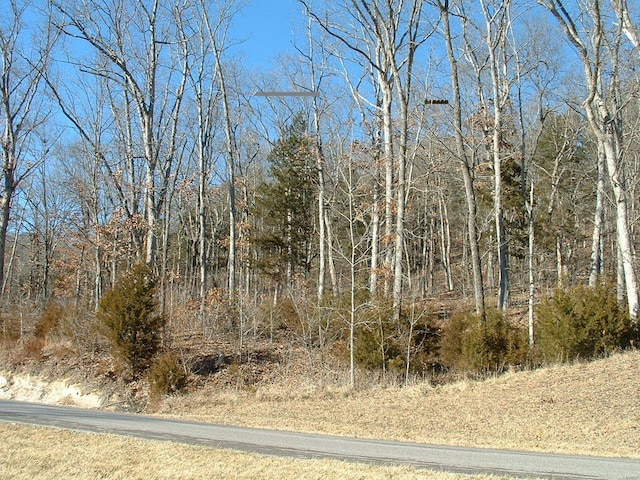 4501 Augusta Shores Ct Lot # 22, Augusta, MO 63332