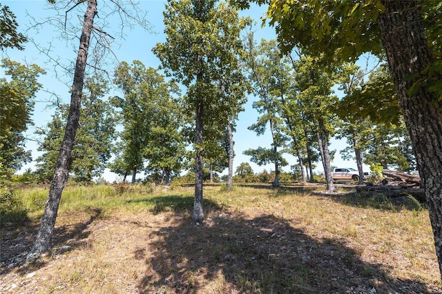 0 Whispering Pines Ln, Steelville, MO 65565 - photo 11