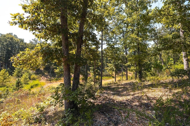 0 Whispering Pines Ln, Steelville, MO 65565 - photo 12