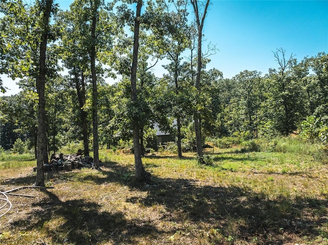 0 Whispering Pines Ln, Steelville, MO 65565 - photo 2
