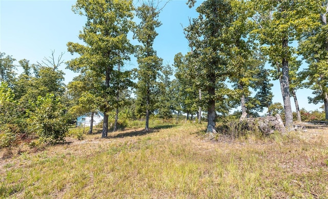 0 Whispering Pines Ln, Steelville, MO 65565 - photo 5