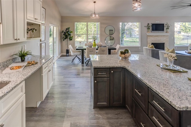 kitchen with healthy amount of natural light, dark wood-type flooring, a fireplace, and lofted ceiling